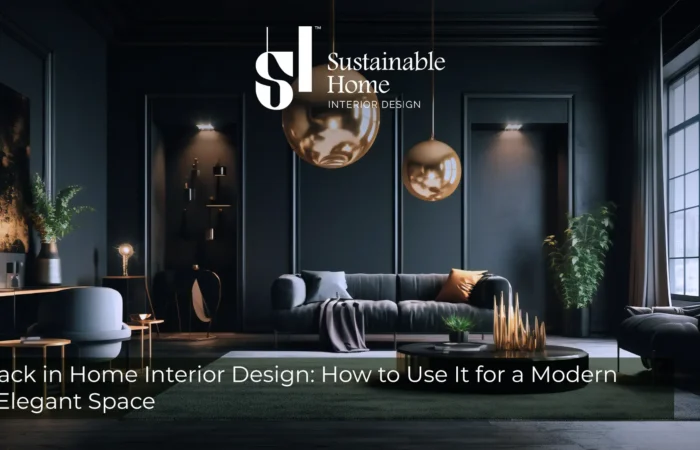 Black in Home Interior Design: How to Use It for a Modern Space